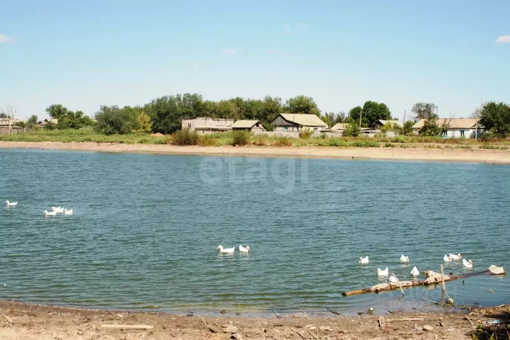Дом в Саратовская область, Федоровский район, с. Морцы Набережная ул., ... - Фото 1