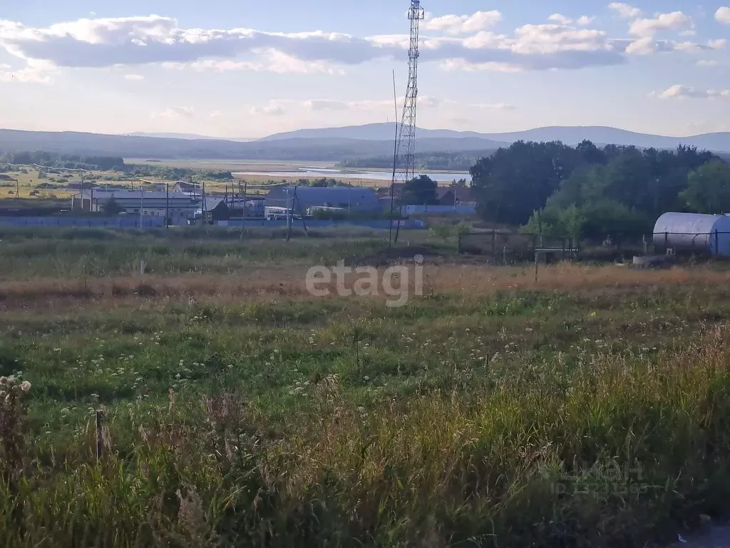 Село боровое новосибирская область фото. Село боровое новосибирская область. Село боровое новосибирская область. Боровая на участке. Село боровое новосибирская область фото.