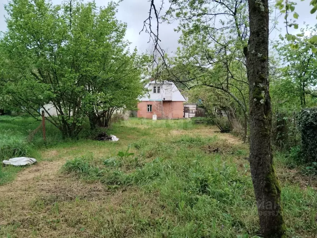 Участок в Краснодарский край, Геленджик городской округ, с. Пшада ул. ... - Фото 1