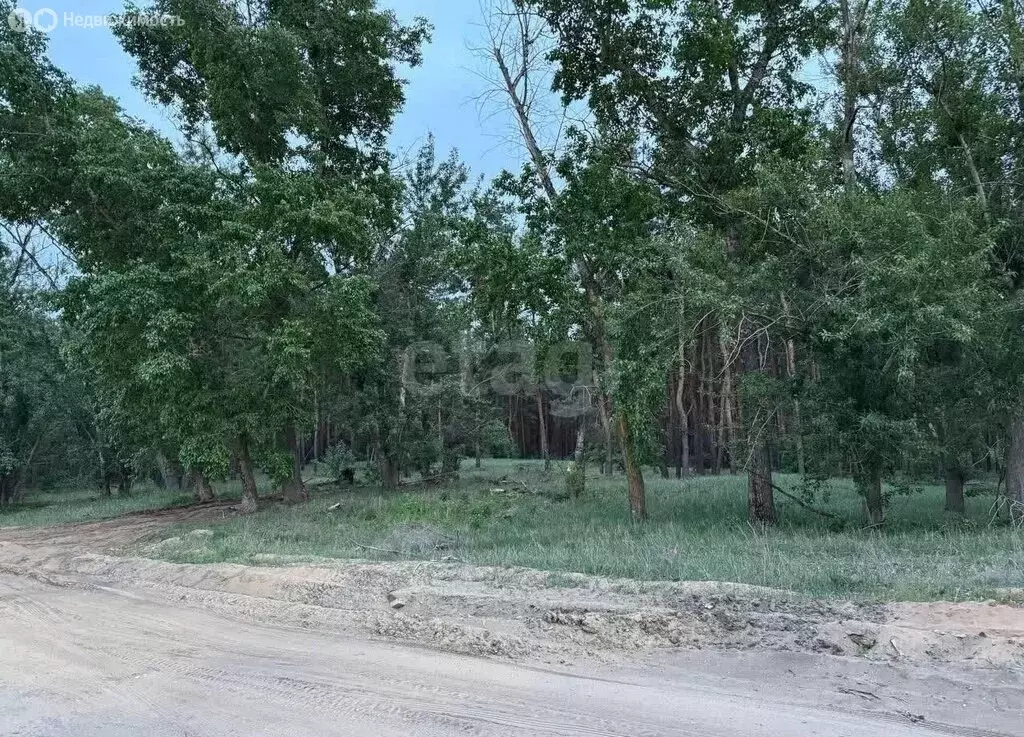 Участок в Воронеж, микрорайон Таврово, Доковая улица (8 м) - Фото 2