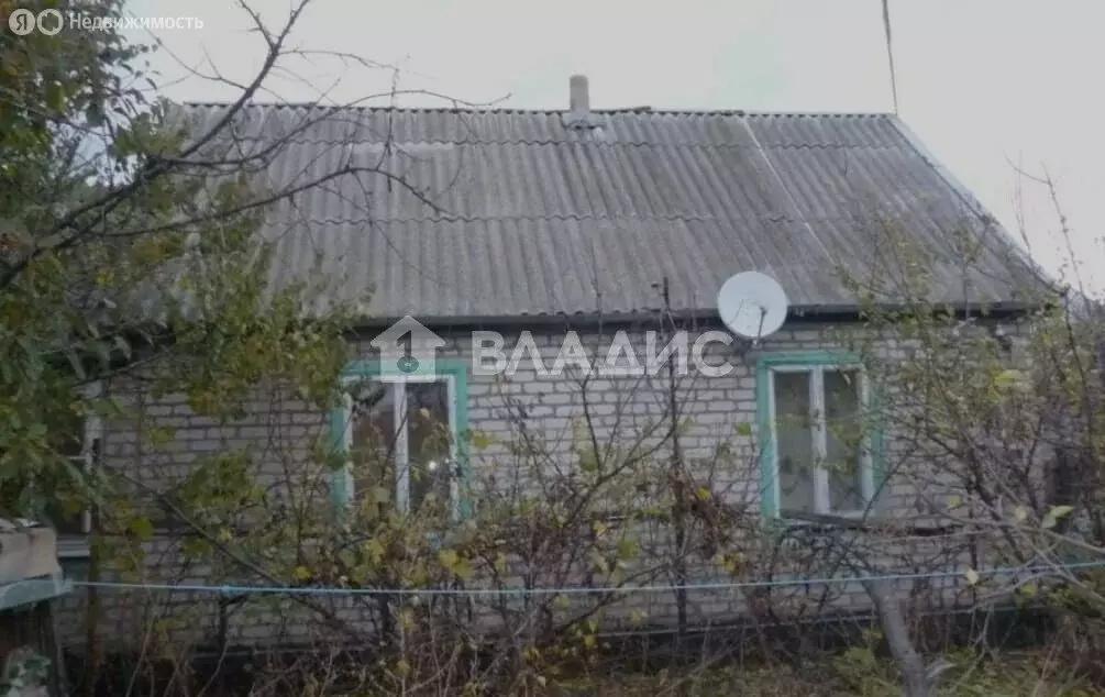 Дом в Амурская область, городской округ Благовещенск, село Садовое (63 ... - Фото 1
