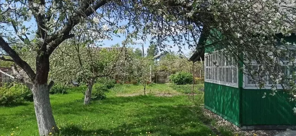 Дом в Брянск, садоводческое объединение Садовод (25 м) - Фото 2