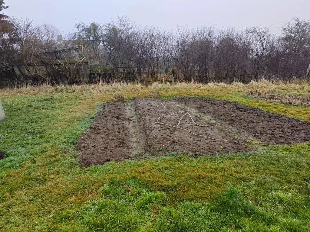 Участок в Калининградская область, пос. Загородное ул. Центральная ... - Фото 2