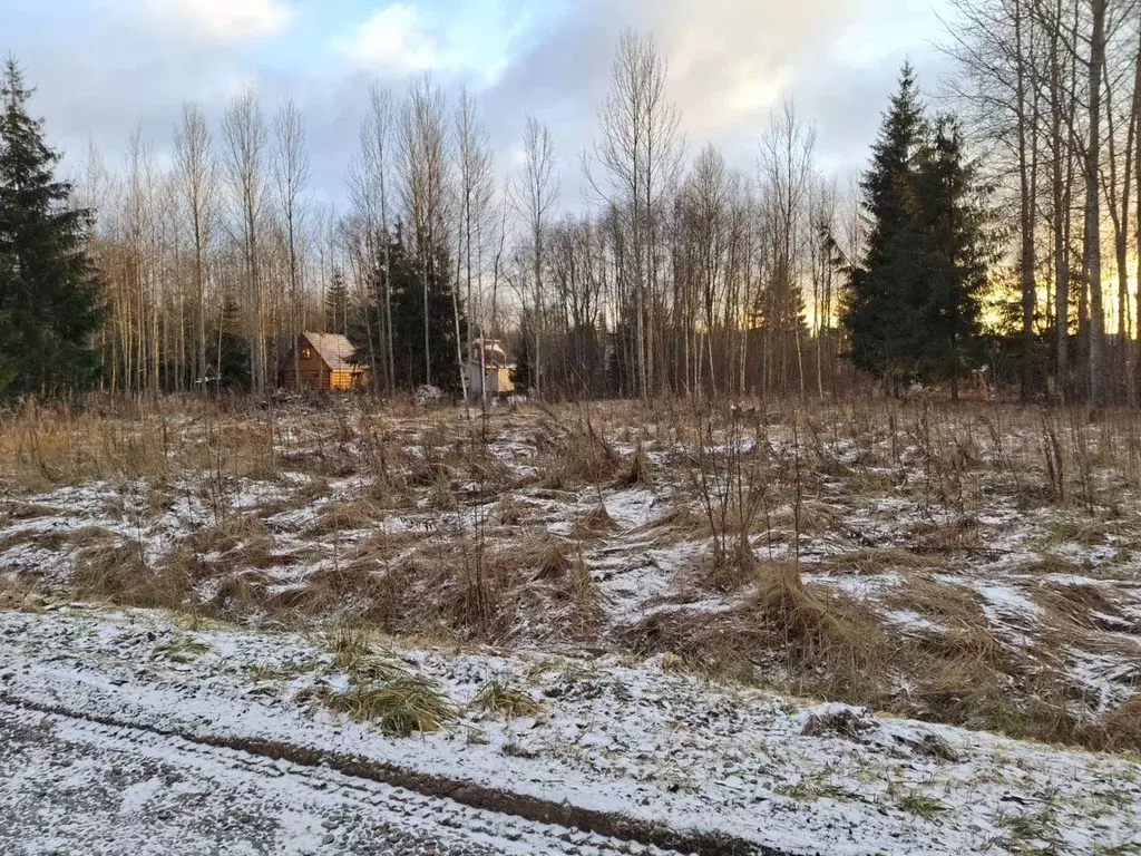 Участок в Ленинградская область, Киришский район, Кусинское с/пос, ... - Фото 2