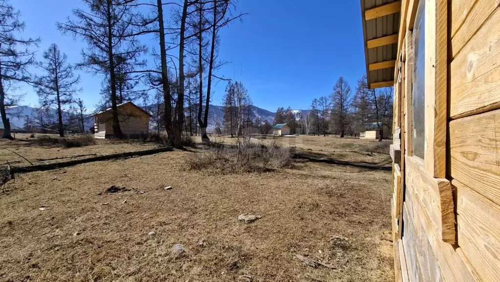 Дом в Алтай, Усть-Коксинский район, с. Мульта Школьная ул. (19 м) - Фото 2