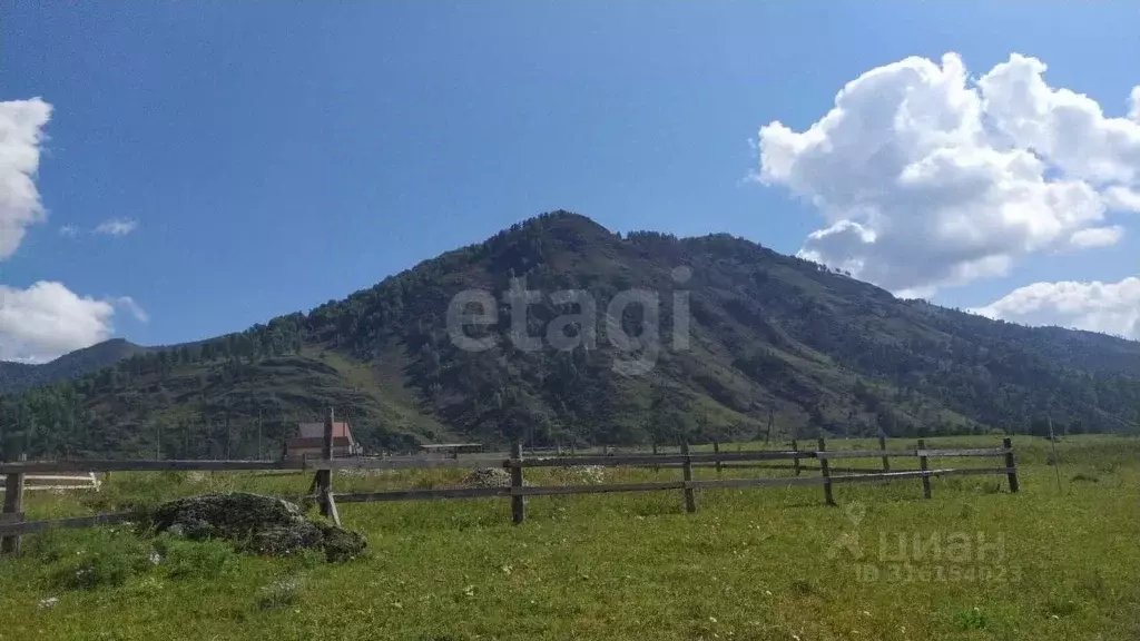 Дом в Алтай, Чемальский район, с. Чемал ул. Счастливая, 2 (61 м) - Фото 0