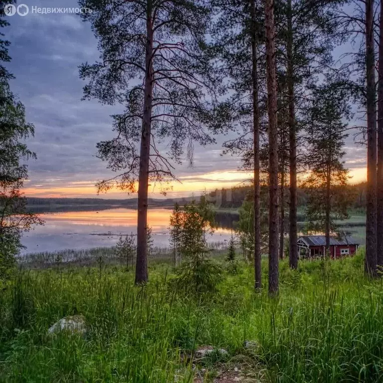 Участок в Республика Карелия, Петрозаводск (12 м) - Фото 1