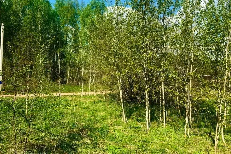 Участок в Московская область, Одинцовский городской округ, д. Бородки, ... - Фото 1