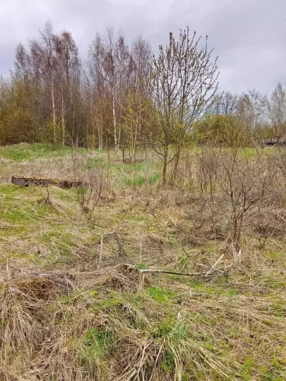 Участок в Ленинградская область, Тихвинский район, Мелегежское с/пос, ... - Фото 1