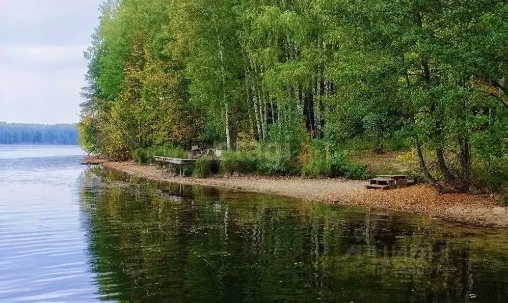 Участок в Смоленская область, Десногорск  (9.0 сот.) - Фото 0