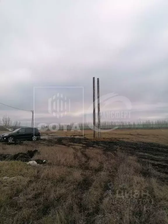 Участок в Воронежская область, Новоусманский район, Отрадненское ... - Фото 2