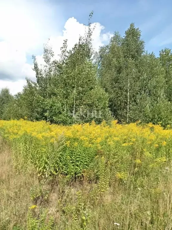 Участок в Нижегородская область, Городецкий муниципальный округ, д. ... - Фото 0