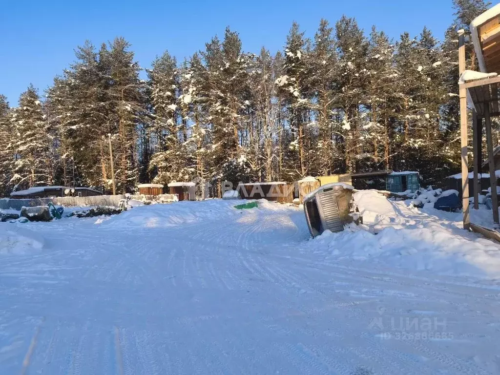 Участок в Карелия, Пряжинский район, пос. Матросы Пряжинское ш. (18.0 ... - Фото 1