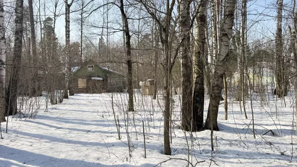 Участок в Московская область, Пушкино Заветы Ильича мкр, Дачная ул. ... - Фото 1
