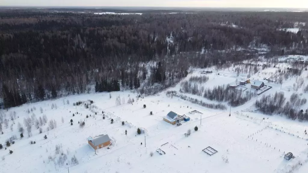 Участок в Томская область, Томский район, Новые Вешки ДНТ ул. ... - Фото 2