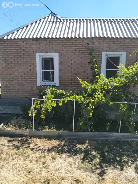 Дом в Неклиновский район, село Приморка (50.7 м) - Фото 1