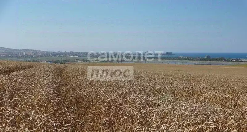 Участок в Краснодарский край, Анапа муниципальный округ, Красный хут. ... - Фото 2