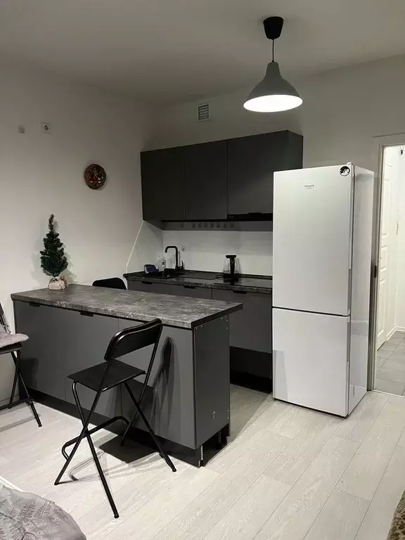 Студия Санкт-Петербург Студенческая ул., 24к1 (27.0 м) - Фото 1