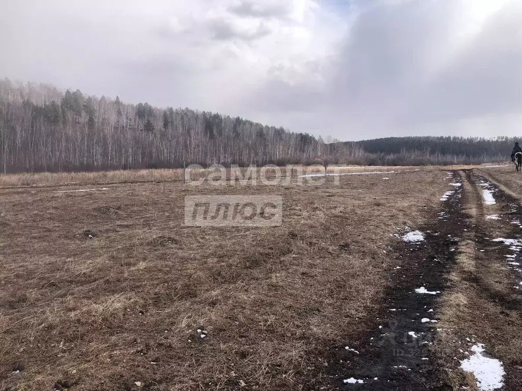 Участок в Иркутская область, Иркутский муниципальный округ, д. Куда ... - Фото 1
