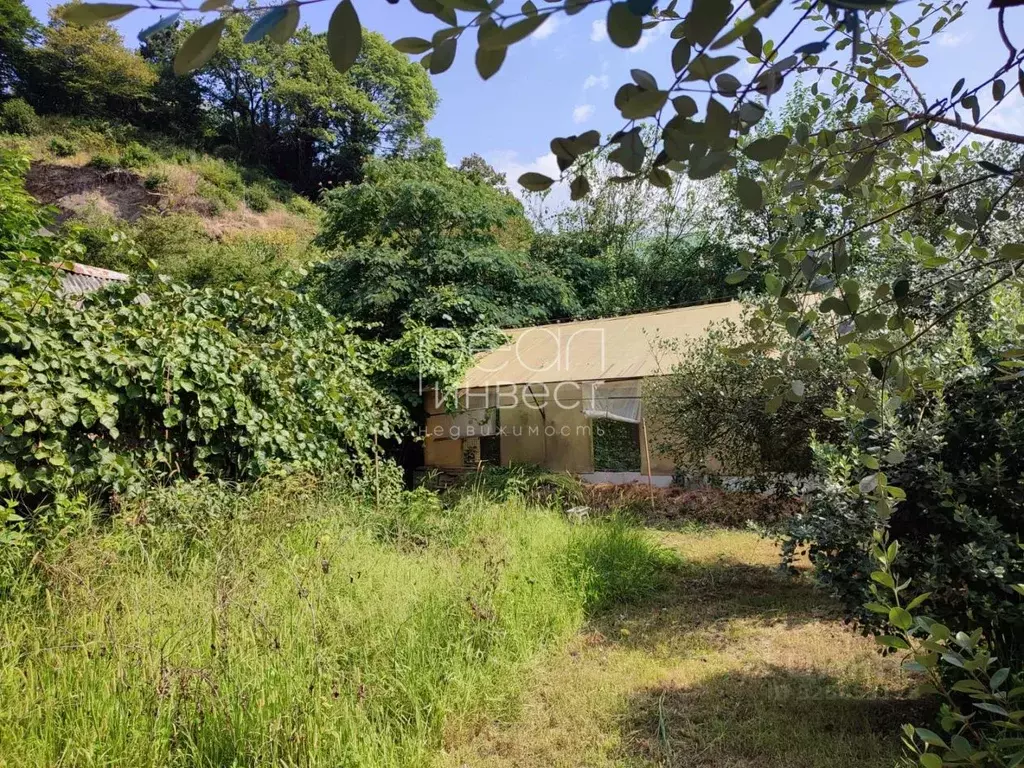 Участок в Краснодарский край, Сочи городской округ, с. Пластунка ул. ... - Фото 2