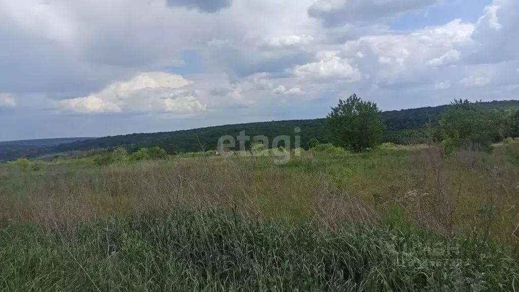 Участок в Белгородская область, Белгородский муниципальный округ, ... - Фото 1