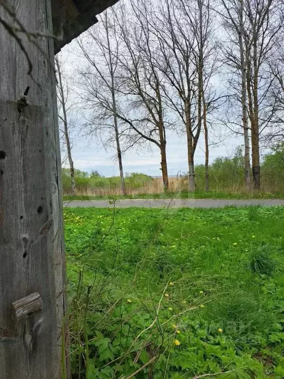 Участок в Псковская область, Печорский муниципальный округ, д. ... - Фото 2