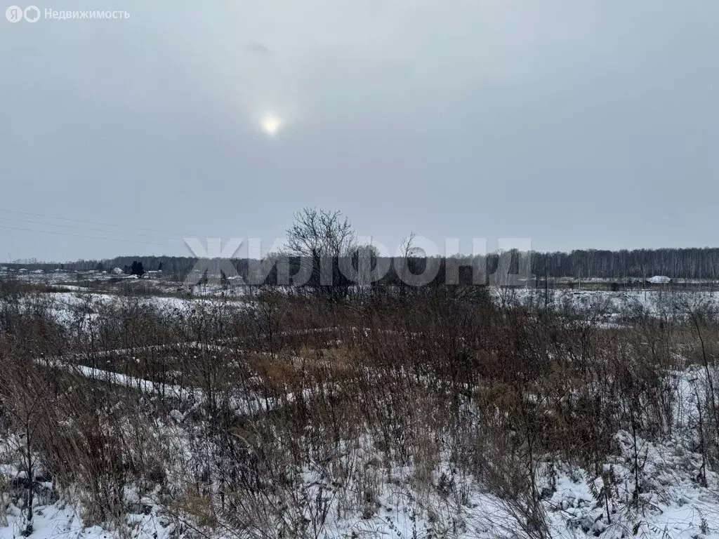 Участок в село Томилово, Самарская улица (38.5 м) - Фото 0