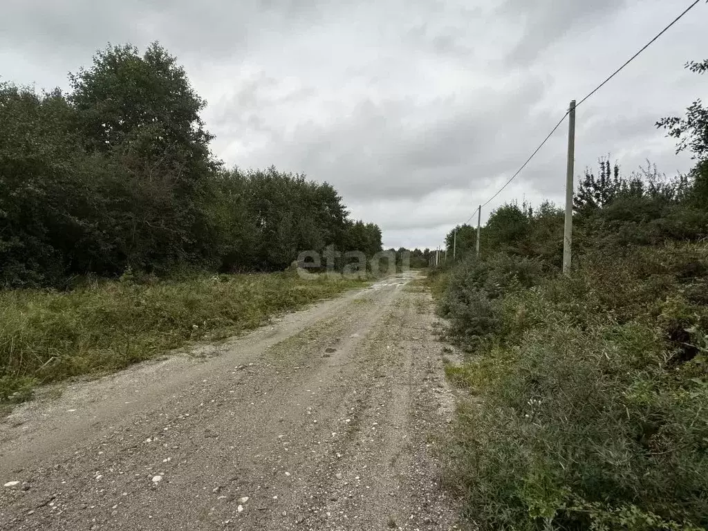 Участок в Калининградская область, Светлогорский городской округ, пос. ... - Фото 0