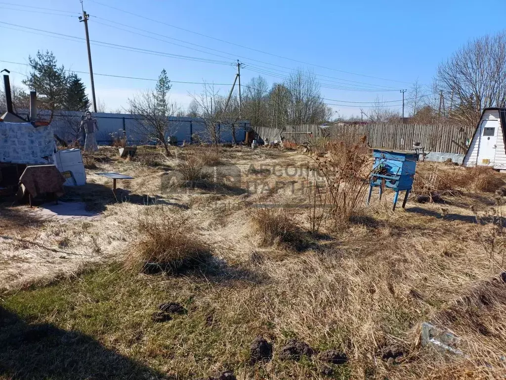 Участок в Новгородская область, Новгородский муниципальный район, ... - Фото 2