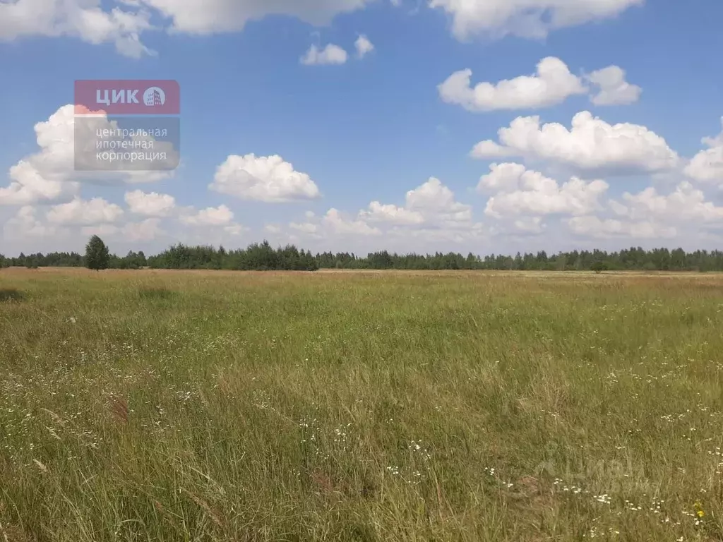 Участок в Рязанская область, Рязанский район, Дубровическое с/пос, с. ... - Фото 1