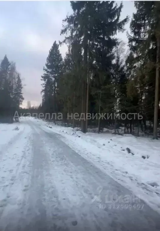 Участок в Московская область, Истра муниципальный округ, д. Ермолино  ... - Фото 0