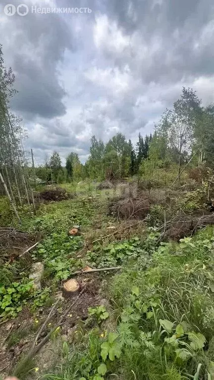 Участок в Сыктывкар, микрорайон Тентюково (7.4 м) - Фото 2