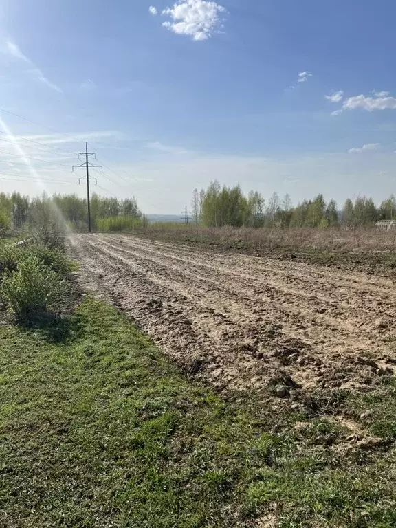 Участок в Нижегородская область, Нижний Новгород д. Новоликеево, ул. ... - Фото 0