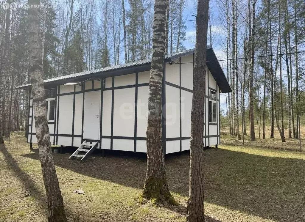 Дом в посёлок городского типа Запрудня, Садовый переулок (46.4 м) - Фото 2