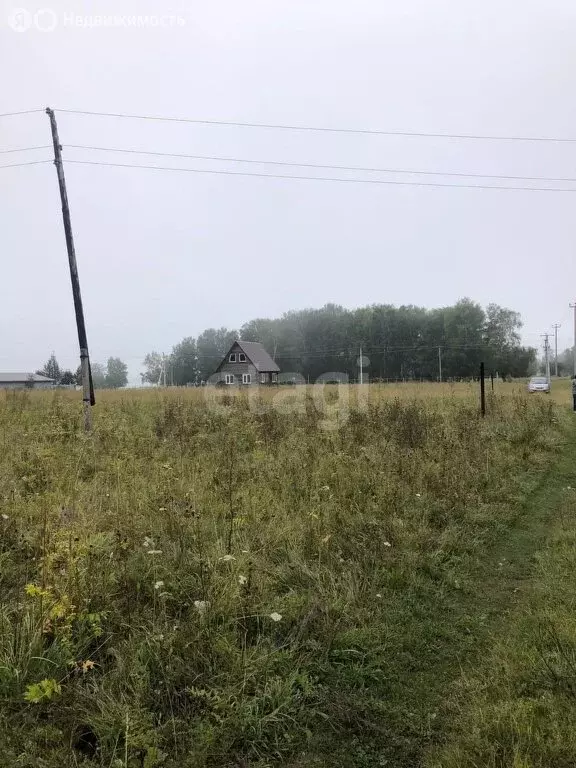 Участок в Ордынский район, село Красный Яр (15 м) - Фото 0