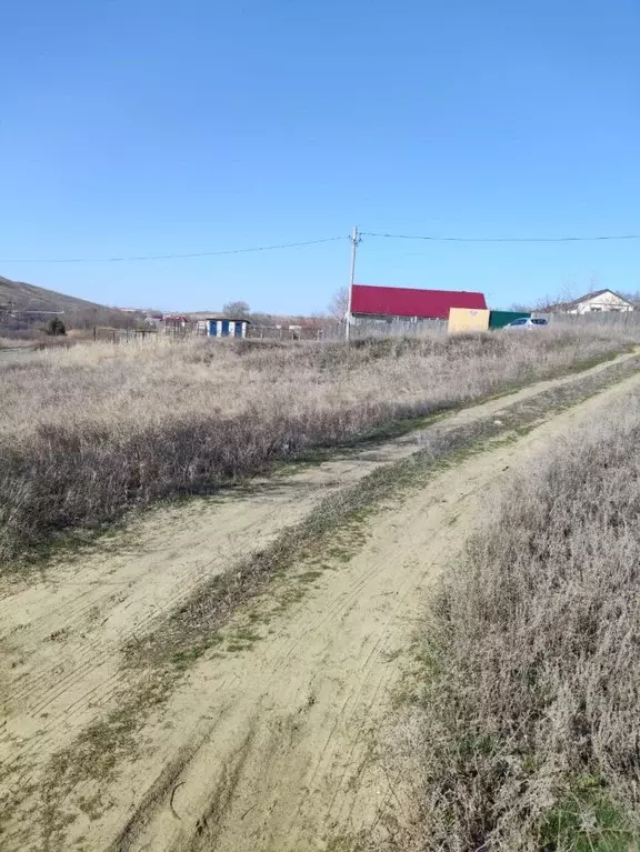 Участок в Волгоградская область, Городищенский район, ... - Фото 0