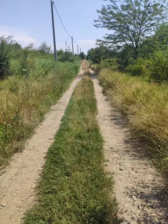 Участок 10 сот. (ИЖС) - Фото 1