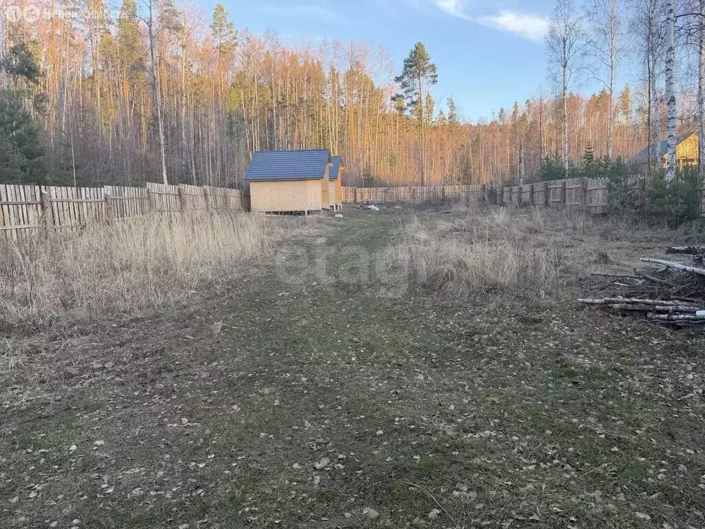 Участок в Баргузинский район, село Максимиха (7.96 м) - Фото 2