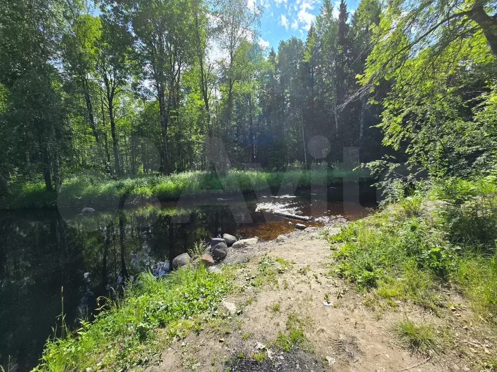 Участок 1 сот. (СНТ, ДНП) - Фото 1