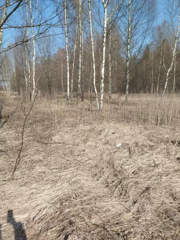 Участок в Московская область, Клин городской округ, д. Щекино  (14.15 ... - Фото 0