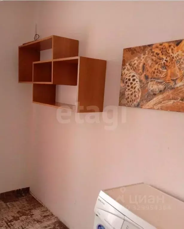 Студия Алтайский край, Барнаул ул. Эмилии Алексеевой, 5к2 (12.5 м) - Фото 1