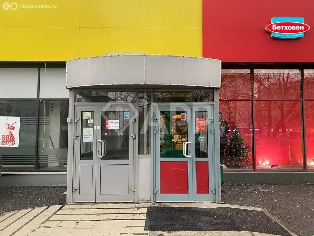 Помещение свободного назначения (289 м) - Фото 1