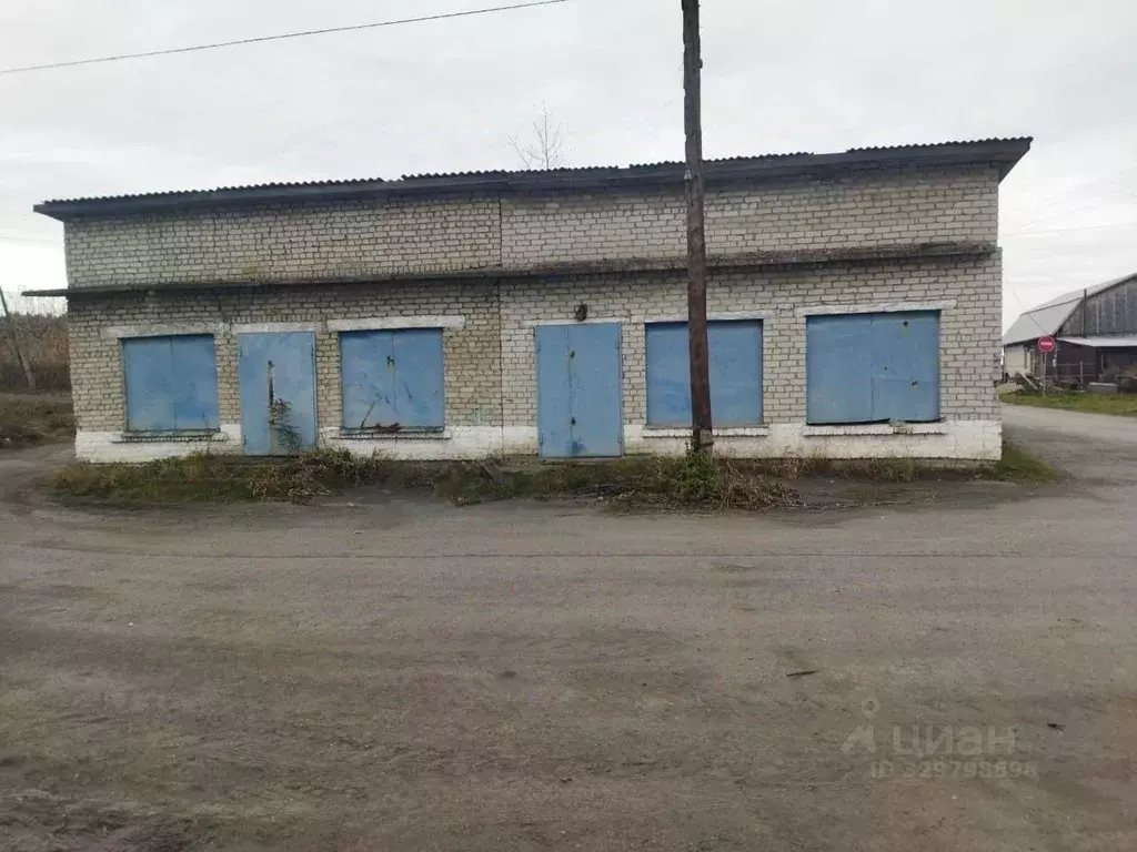 Помещение свободного назначения в Свердловская область, Пышма пгт ул. ... - Фото 1