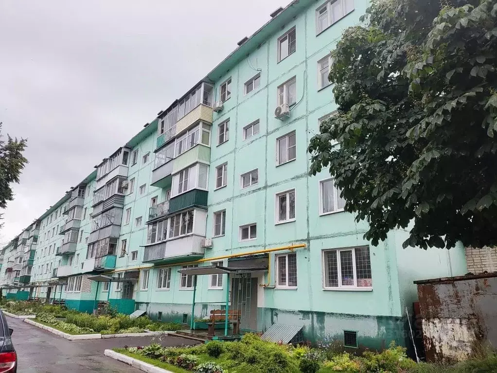1-к кв. Тамбовская область, Тамбов ул. Куйбышева, 13 (30.5 м) - Фото 0