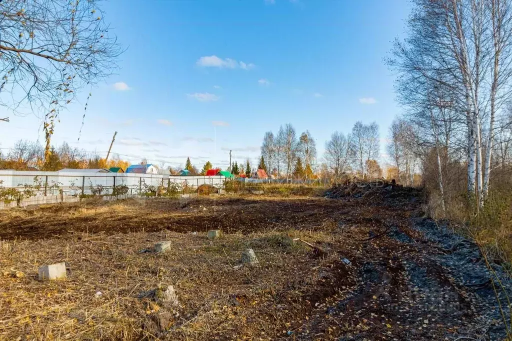 Участок в Тюменская область, Нижнетавдинский муниципальный округ, ... - Фото 1