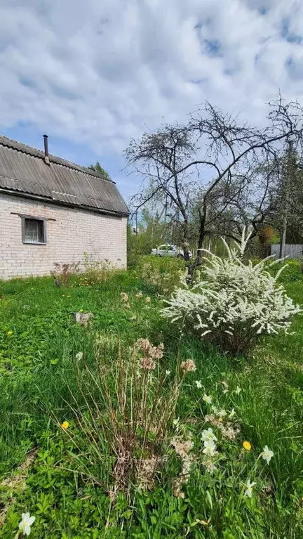 Дом в Новгородская область, Новгородский муниципальный район, ... - Фото 2