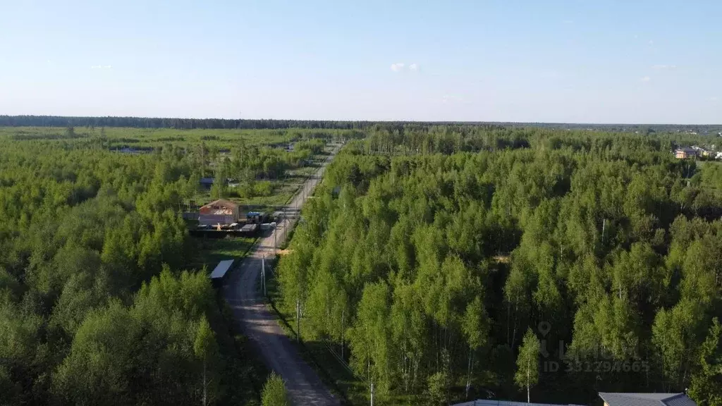 Участок в Московская область, Раменский муниципальный округ, Фенино ... - Фото 1