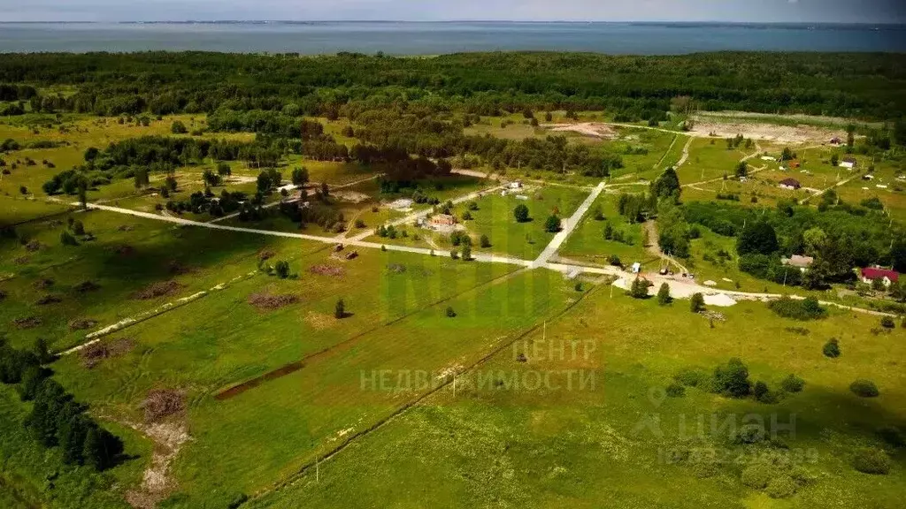 Участок в Калининградская область, Багратионовский муниципальный ... - Фото 1