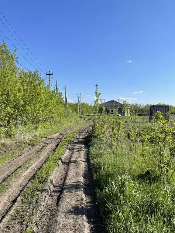 Участок в Воронежская область, с. Семилуки ул. Подгорная, 8 (5.0 сот.) - Фото 0