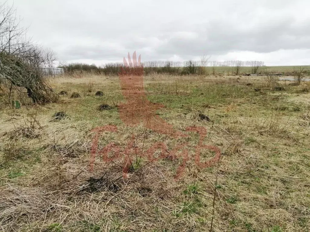 Участок в Орловская область, Орловский район, д. Малая Фоминка ул. ... - Фото 0